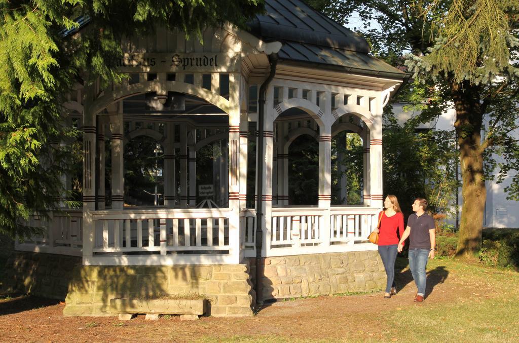 Hotel-Restaurant Birkenhof Бад-Зоден-Зальмюнстер Экстерьер фото